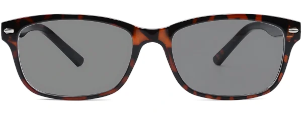 Carlson 08 Havana Sunglasses