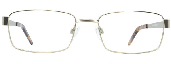 Carrdini CD7097 Gold Glasses