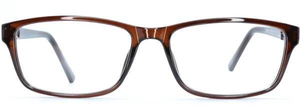 Classic 307 Brown Glasses