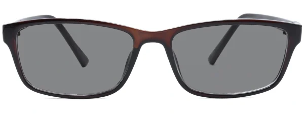 Classic 307 Brown Sunglasses