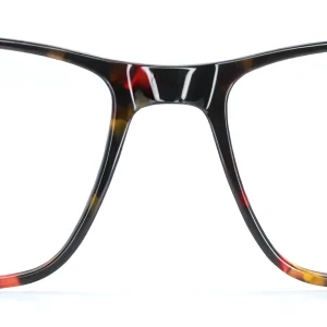 Delaney 139 Havana Glasses