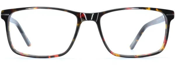 Delaney 139 Havana Glasses