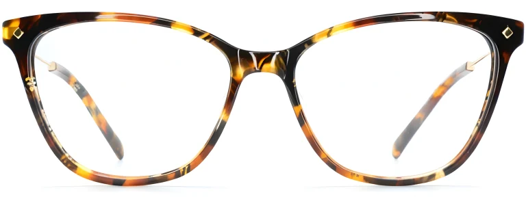 Einar L5730B Havana Glasses