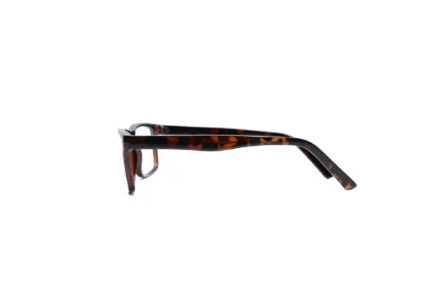 Carlson 05 Tort - Image 4