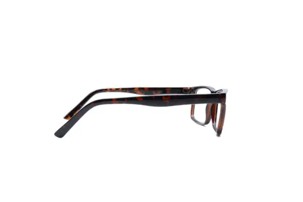 Carlson 05 Tort - Image 5