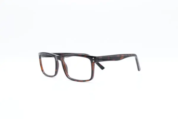 Carlson 05 Tort - Image 3