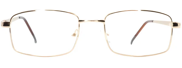 Smartline SL002 C3 Gold Glasses