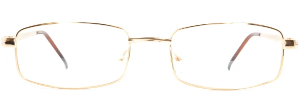 Smartline SL003 C3 Gold Glasses