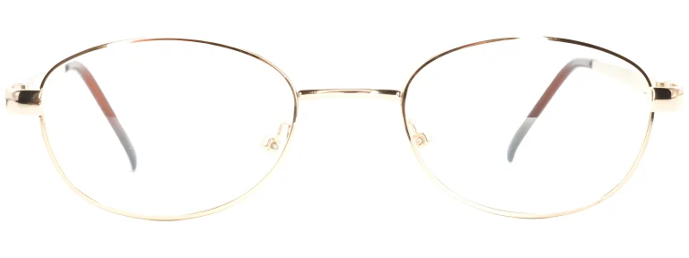Smartline SL004 C3 Gold Glasses