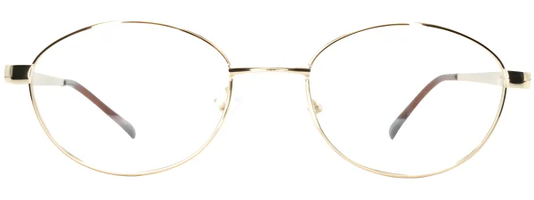 Smartline SL005 C3 Gold Glasses
