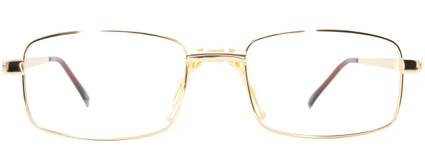Smartline SL040 C3 Gold Glasses