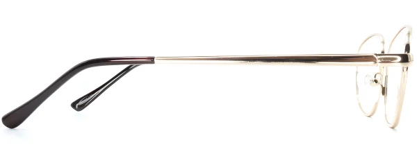 Smartline SL041 Gold Glasses - Image 4