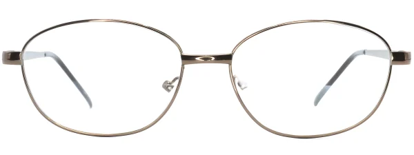 Smartline SL041 C2 Bronze Glasses