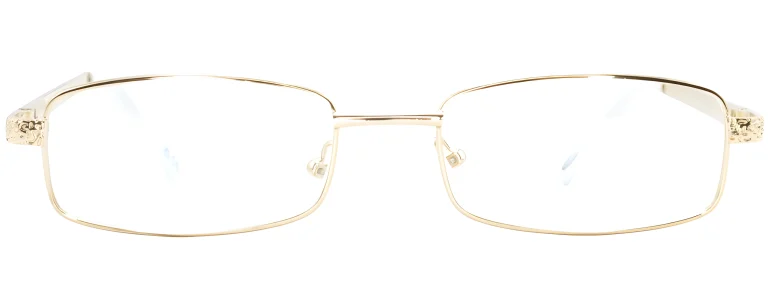 Smartline SL050 C3 Gold Glasses