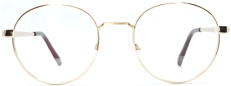 Smartline SL054 C2 Gold Glasses