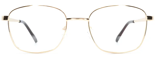 Smartline SL055 C1 Gold Glasses
