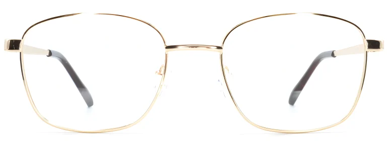 Smartline SL055 C1 Gold Glasses