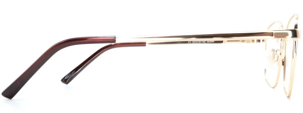 Smartline SL055 Gold Glasses - Image 4