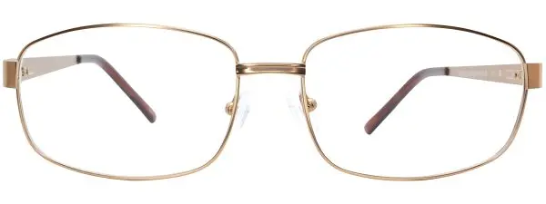 Capello Tommy 22 Gold Glasses