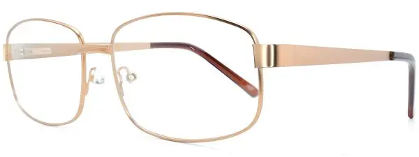 Capello Tommy 22 Gold Glasses - Image 2