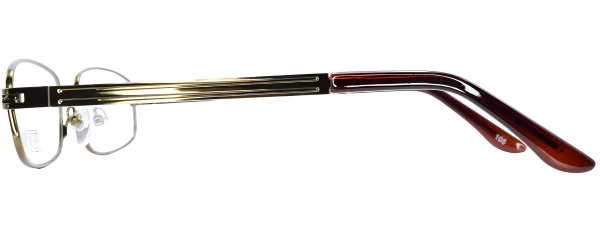 Fine Line 1008 Bronze Left