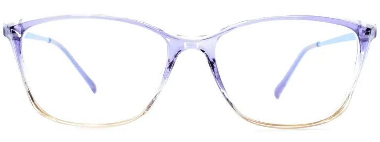 Univo 5780 Purple Brown Glasses