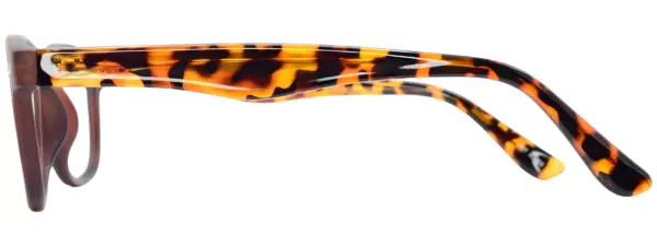 A-Z 0015F Brown Demi Glasses - Image 3