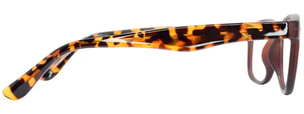 A-Z 0015F Brown Demi Glasses - Image 4