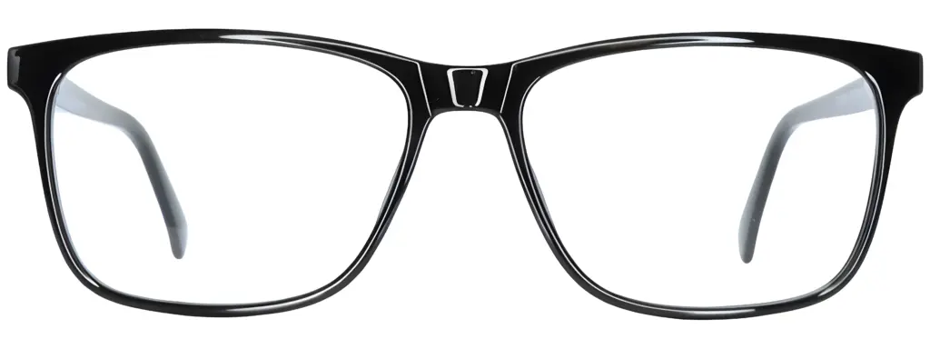 Dominance DO309 Black Glasses