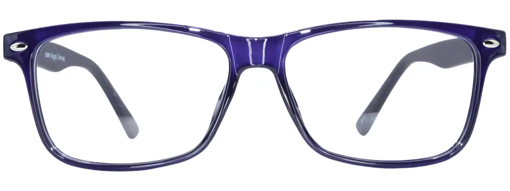 Planet 51 Dark Purple Glasses