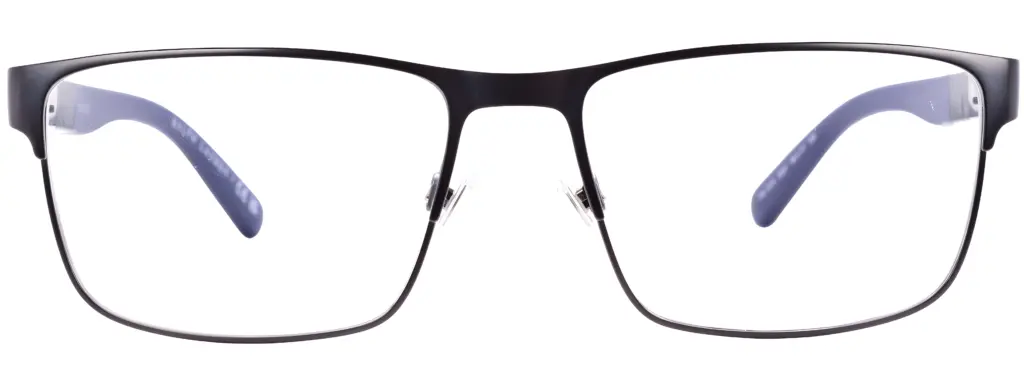 Ralph Lauren PH1215 Gunmetal Glasses